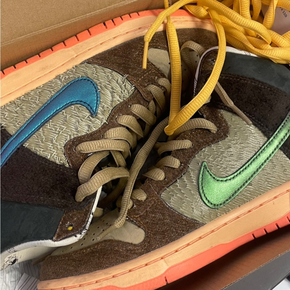Nike Dunks Worn Twice
